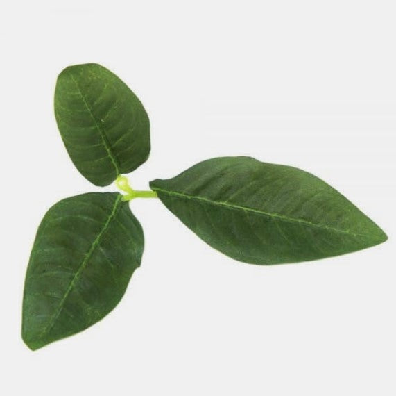 Novritsch - Leaf Camo LC3, PIne 1