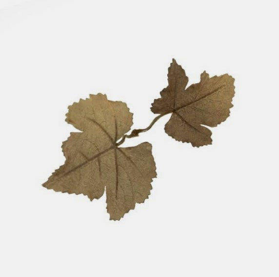 Novritsch - Leaf Camo LC1, Carob 1