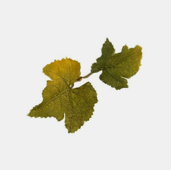 Novritsch - Leaf Camo LC1, Lime 1