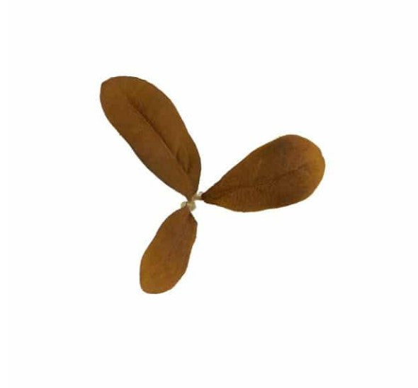 Novritsch - Leaf Camo LC2, Rust 1