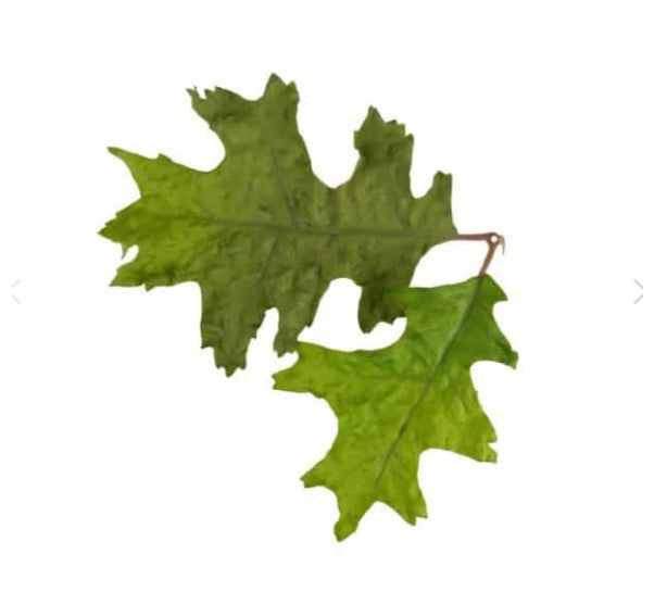 Novritsch - Leaf Camo LC4, Green 1