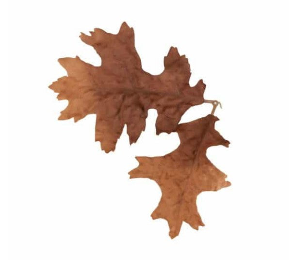 Novritsch - Leaf Camo LC4, Bronze 1